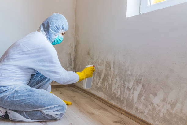 Commercial Mold Remediation assessment for commercial property in Uniondale